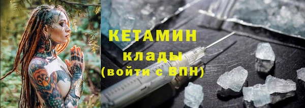 прущие грибы Бронницы